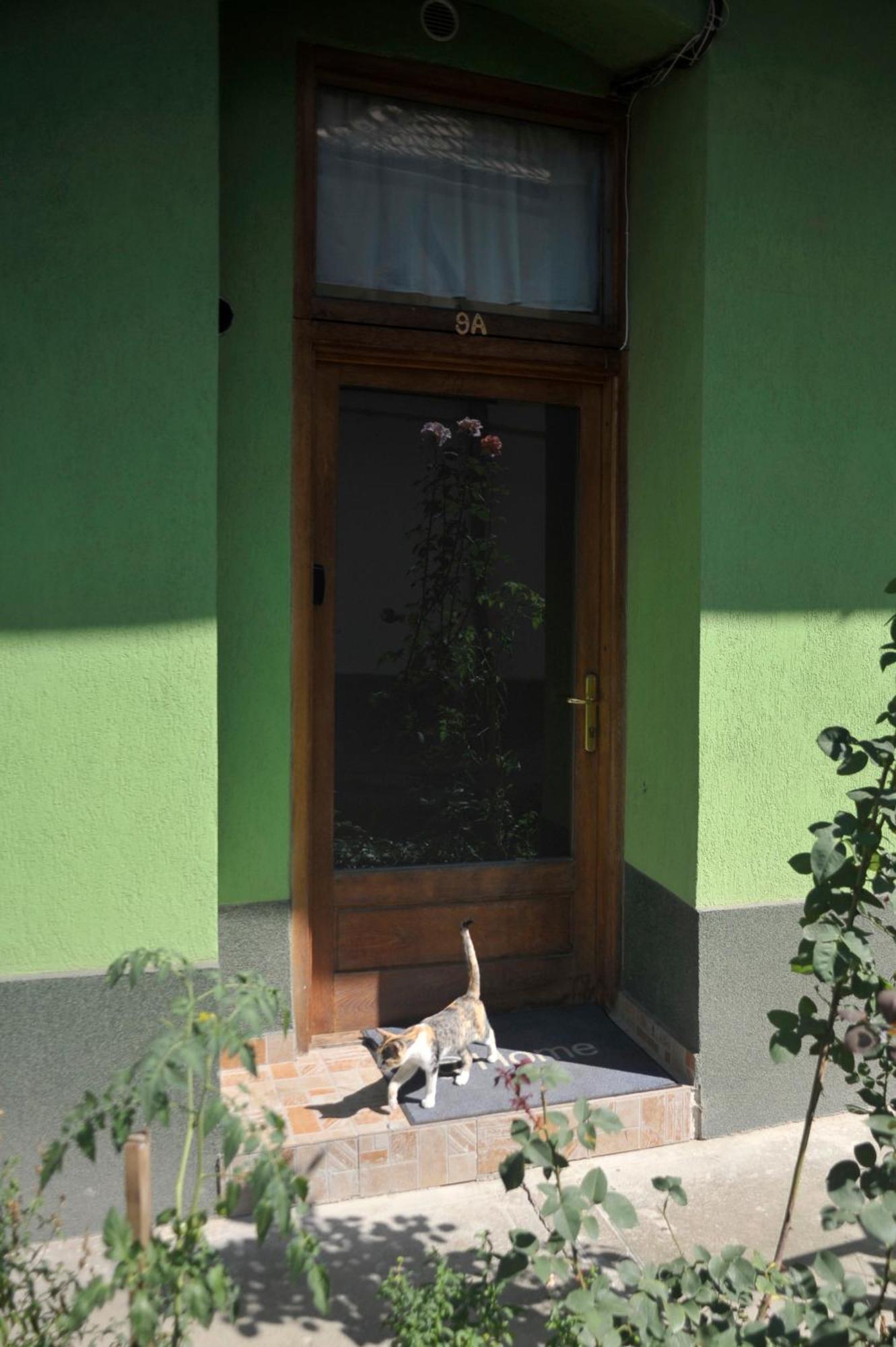 Atu Central Apartment Cluj-Napoca Esterno foto